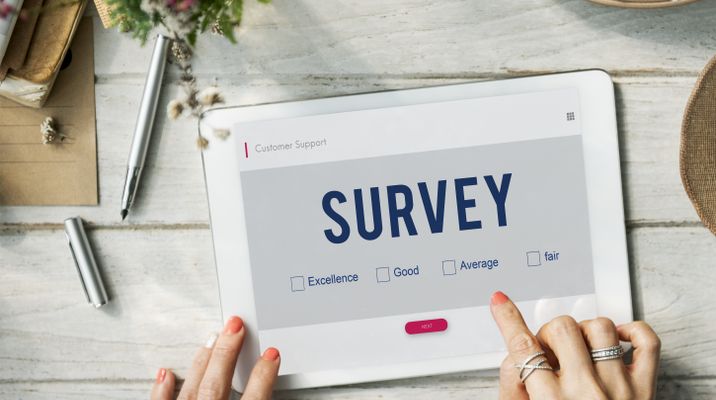 Seek Feedback via Customer Surveys