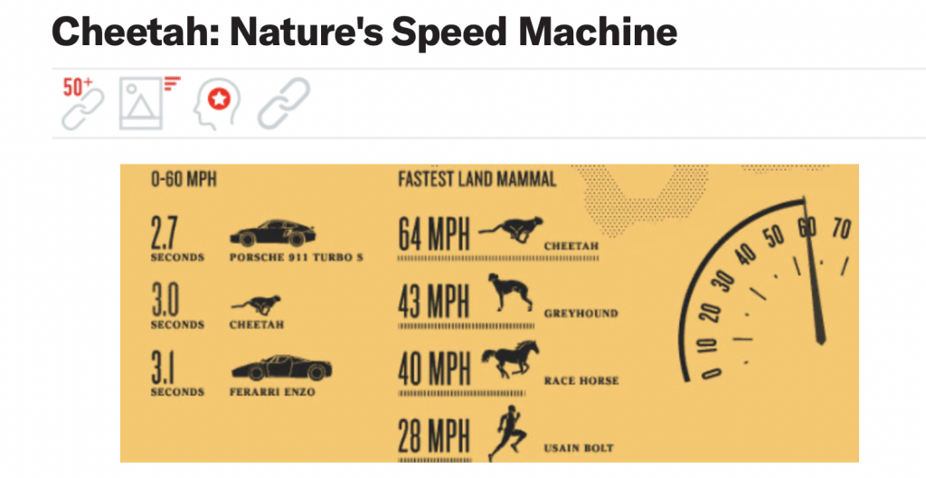 Engaging content example: An infographic comparing a cheetah and a car.
