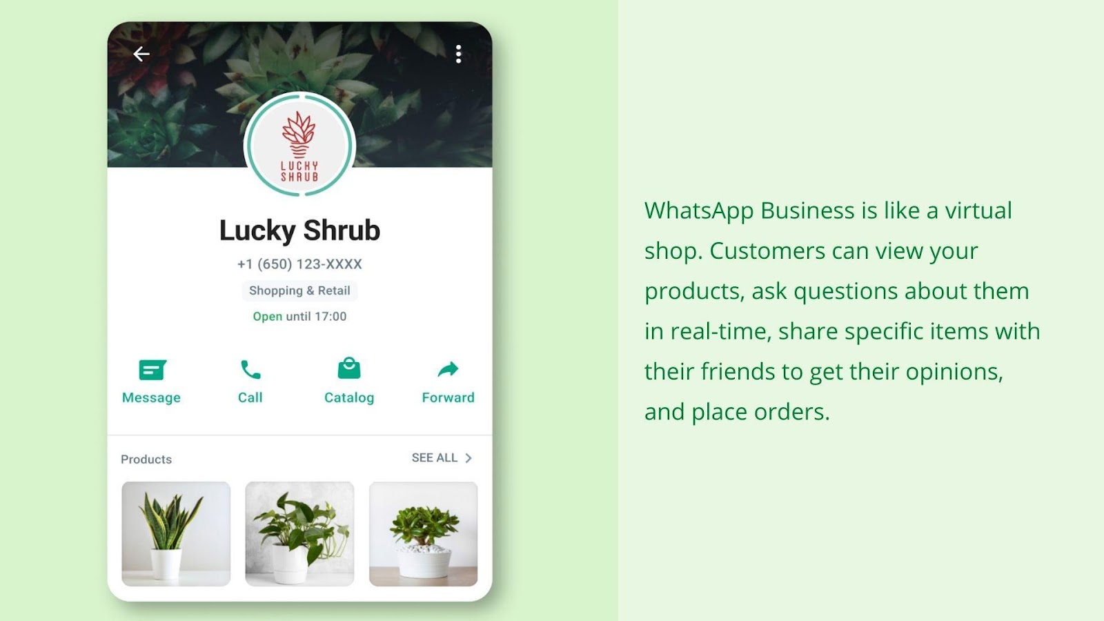Screenshot of a company’s WhatsApp Business profile, accompanied by the paragraph: “WhatsApp Business is like a virtual shop. Customers can view your products, ask questions about them in real-time, share specific items with their friends to get their opinions, and place orders.”