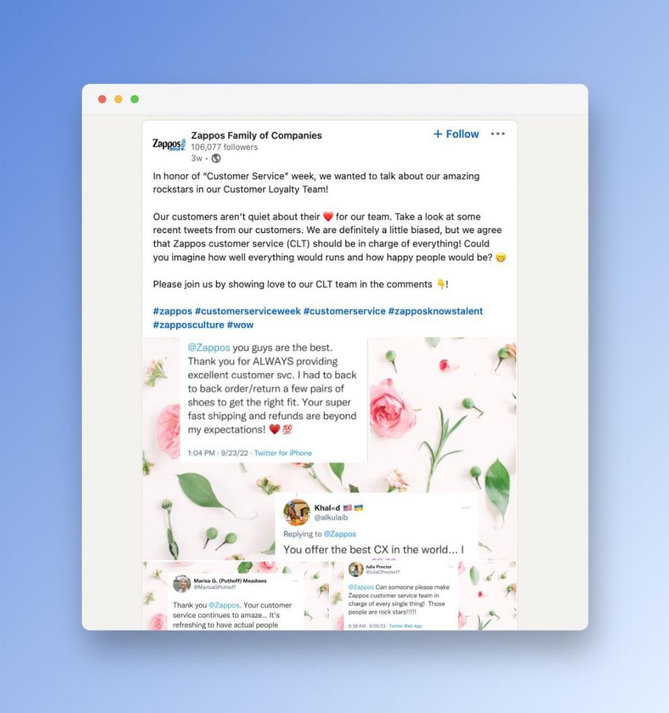 Zappos created content material from the appreciation they gathered from their customers. 