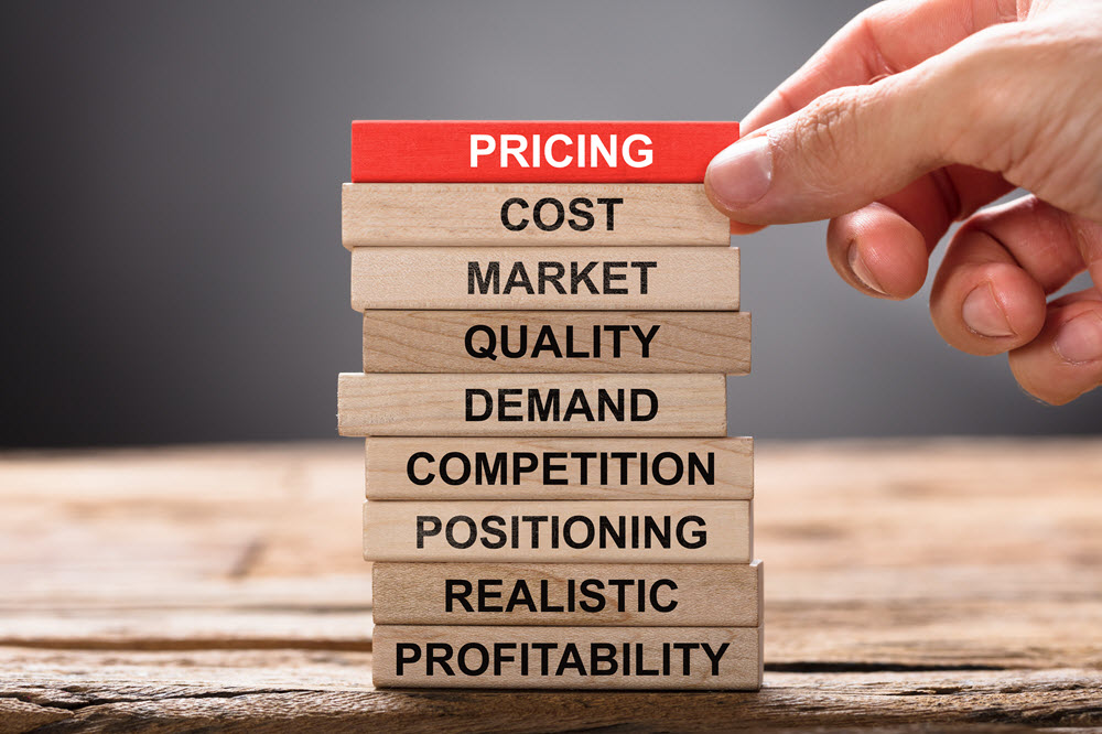 e commerce pricing strategy