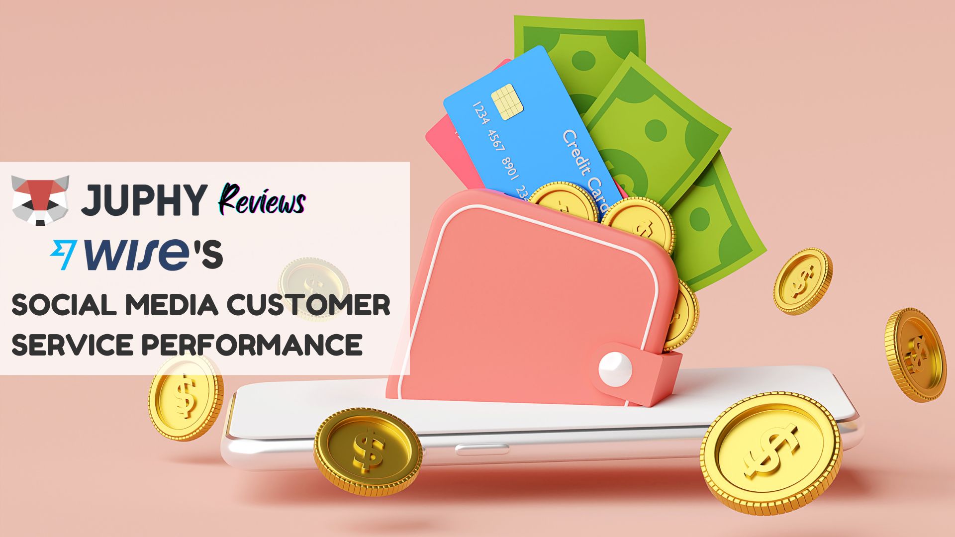 Wise’s Social Media Customer Service Performance Juphy