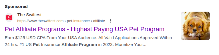 A screenshot of an affiliate page with a paid ad - Source: Google