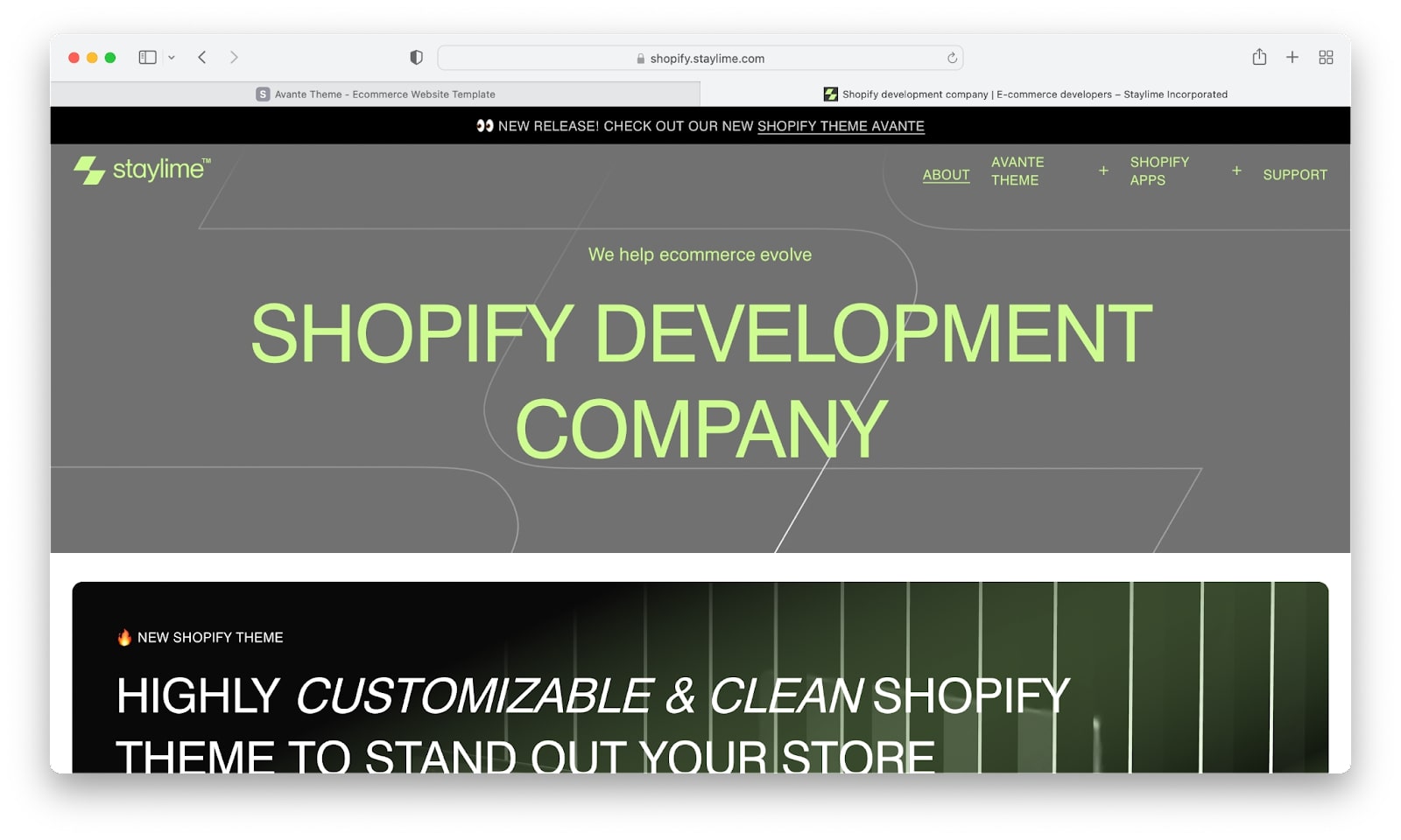 Preview of a Shopify theme