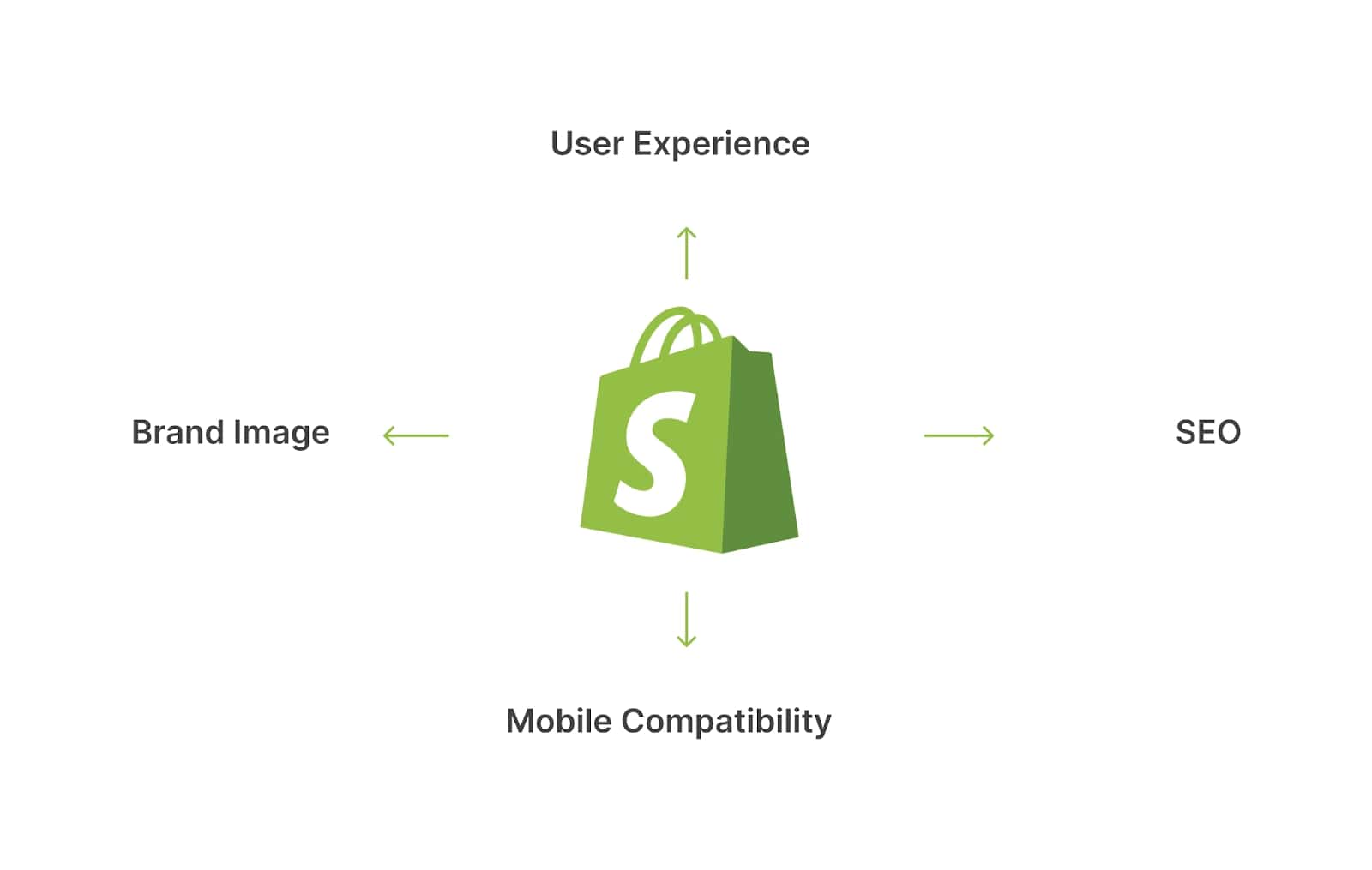 Key roles of Shopify themes in e-commerce success