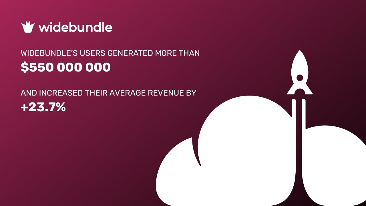 Graph showing data of WideBundle’s users in 2024.